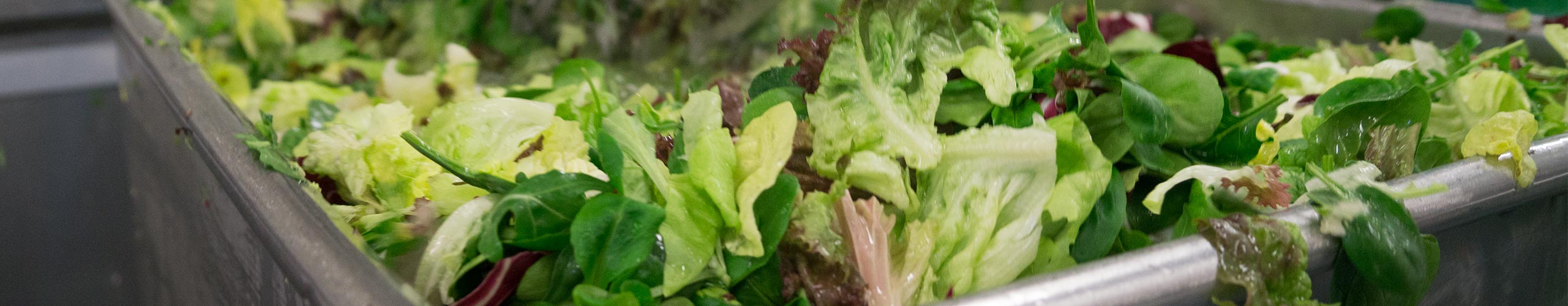 Slider 3 - Gesneden groenten en rauwkost salade - Kees van den Oord B.V.